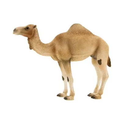 Figurka Wielb��d Arabski