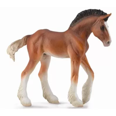 rebi Clydesdale Bay M