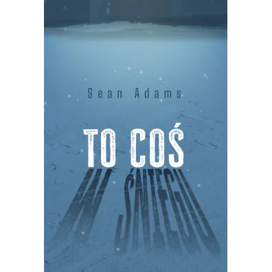 To co� w �niegu