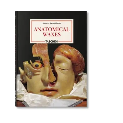 Anatomical Waxes wer. angielska - Marta  Poggesi