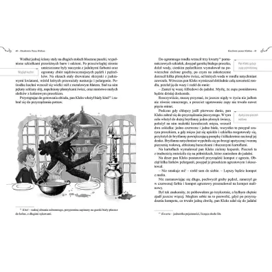 Akademia Pana Kleksa