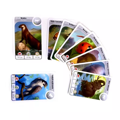 Cardline. Zwierz�ta