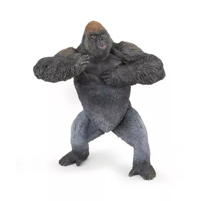 Goryl g�rski