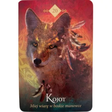Wyrocznia Duchowych Zwierzt, karty