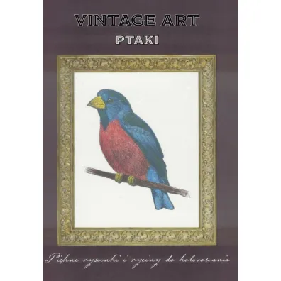 Vintage art Ptaki
