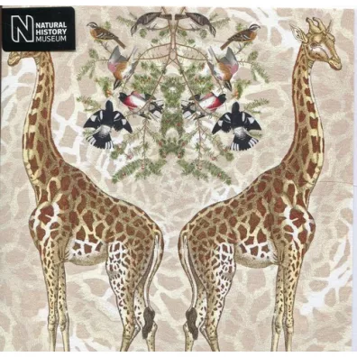 Museums & Galleries Karnet kwadrat z kopert� Giraffe