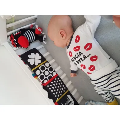 Hencz Toys Ksi��eczka do ��eczka