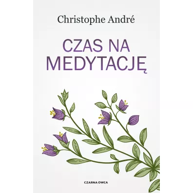 Czas na medytacj - Christophe Andre