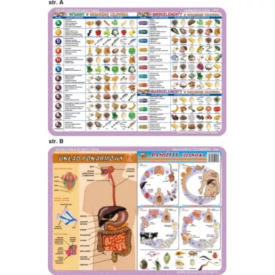 Visual System Podk�adka edukacyjna. Szkielet, mi�nie, zmys�y