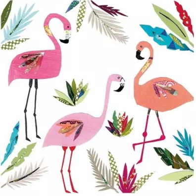 Museums & Galleries Karnet 3 Flamingos z kopert