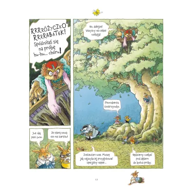 M�j pierwszy komiks 5+ Ch�r. Opowie�ci z Bukowego Lasu. Tom 2