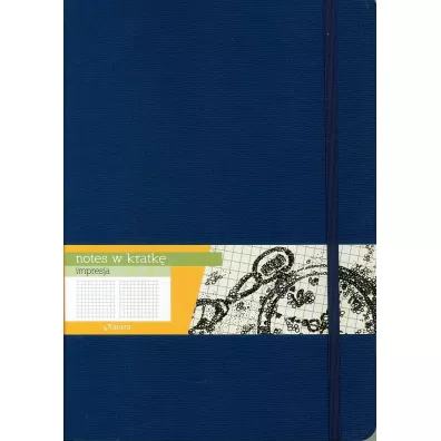 Antra Notes B5 Impresja kratka 192 kartki
