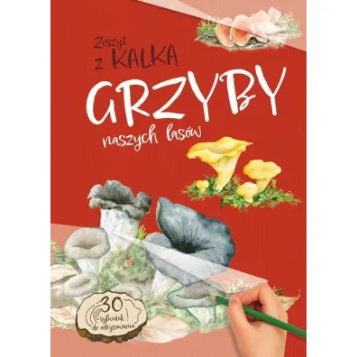 Grzyby naszych las�w - Katarzyna Kopiec-Sekieta