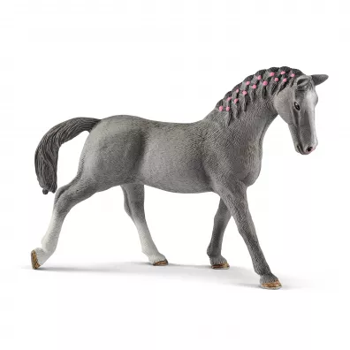 Klacz Trakehner