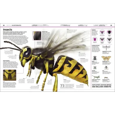 Knowledge Encyclopedia. The World as You`ve Never Seen it Before wer. angielska