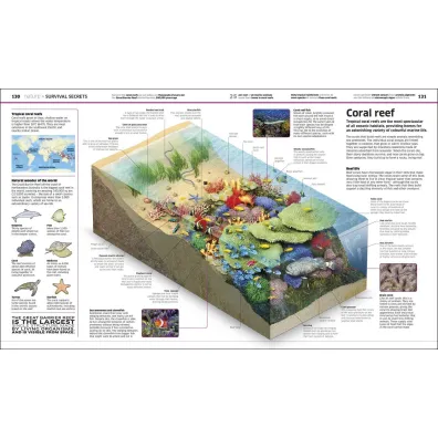 Knowledge Encyclopedia. The World as You`ve Never Seen it Before wer. angielska
