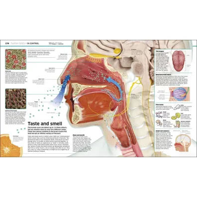 Knowledge Encyclopedia. The World as You`ve Never Seen it Before wer. angielska