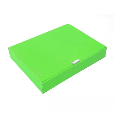 Panta Plast Teczka A4 box neon zielona 55 mm