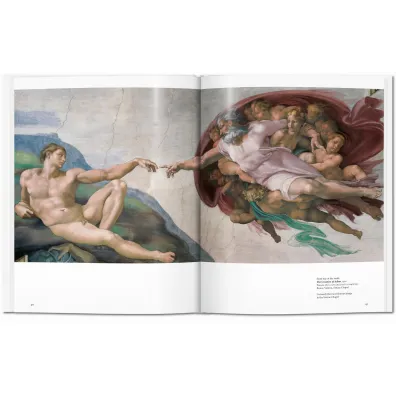 Michelangelo