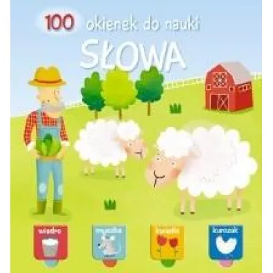 100 okienek do nauki. S�owa