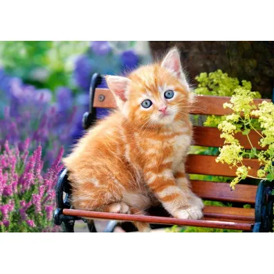 Puzzle 500 el. Rudy kociak Castorland