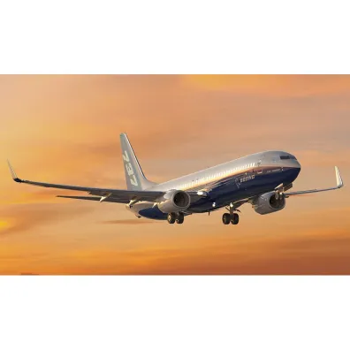 Samolot Boeing 737-800 Cobi