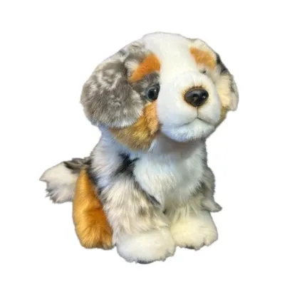 Pies australijski 19cm Dubi