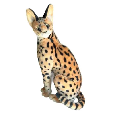 Serwal 49cm