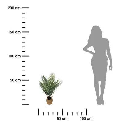 ProGarden Palma sztuczna w plecionym koszu 64 cm