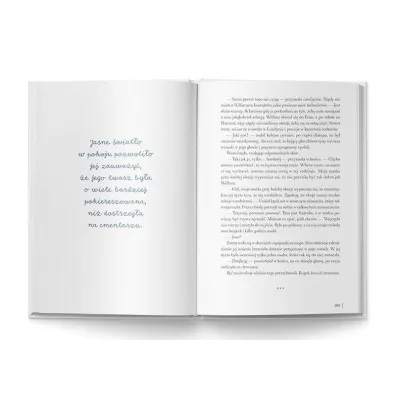 Flaw(less). Opowiedz mi nasz� histori�. Wydanie ilustrowane (barwione brzegi)