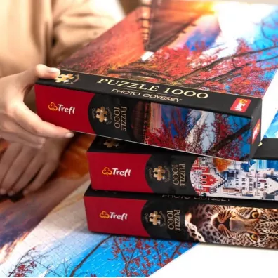 Puzzle 1000 el. Premium Plus Quality Photo Odyssey: Wie�a Cesta, San Marino Trefl