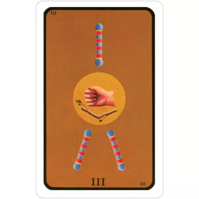 Tarot of the Witches, Tarot Czarownic, karty