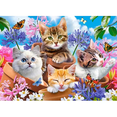 Puzzle 70 el. Kittens with Flowers Castorland