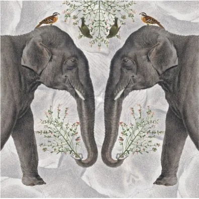 Museums & Galleries Karnet kwadrat z kopert� Indian Elephant