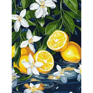 Ideyka Malowanie po numerach - Cytryna w przekroju 30x40cm
