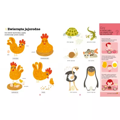 Pierwsza encyklopedia. Zwierz�ta