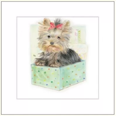 DaVinci Karnet G04 41G 055 + koperta Pies rysowany 16x16 cm