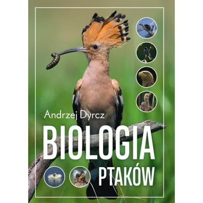 Biologia ptak�w - Andrzej  Dyrcz