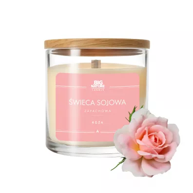 Big Nature wieca sojowa zapachowa Ra 215 g