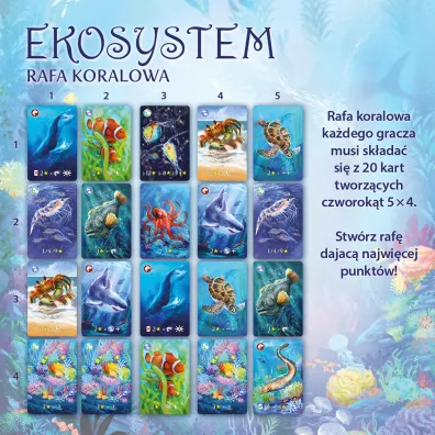 Ekosystem 2. Rafa koralowa