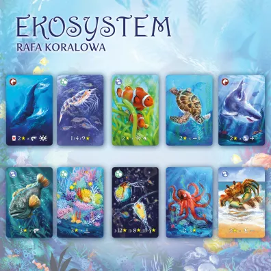 Ekosystem 2. Rafa koralowa