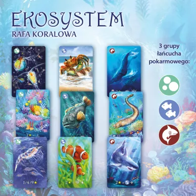 Ekosystem 2. Rafa koralowa
