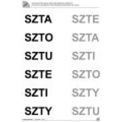 Logotomy szumi�ce �, D�