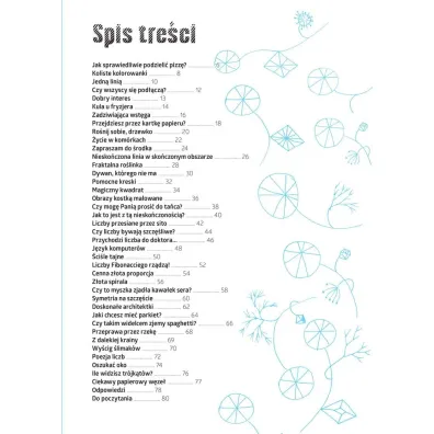 Matematyczna pizza