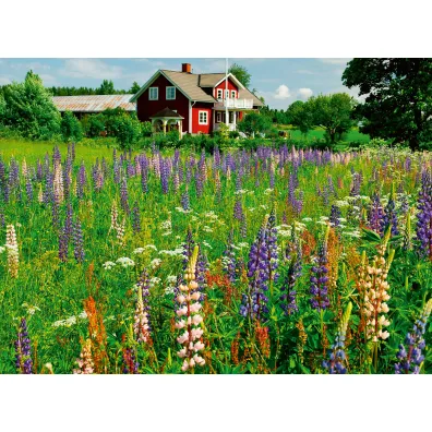 Puzzle 500 el. ��ka w Szwecji Ravensburger