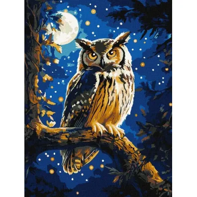 Ideyka Malowanie po numerach - Nocna Sowa metal 30x40cm
