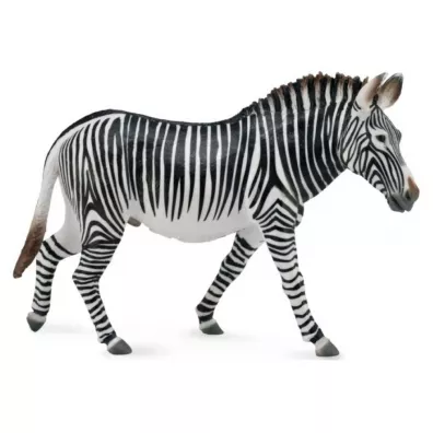 Zebra Grevy's