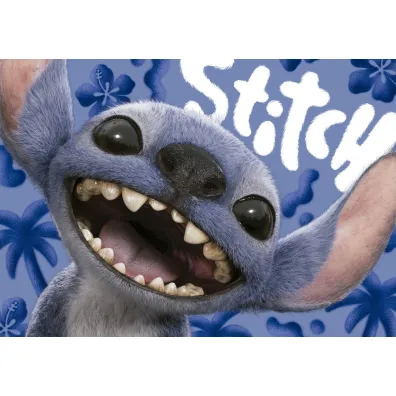 Puzzle 1000 Stich 113804 Educa