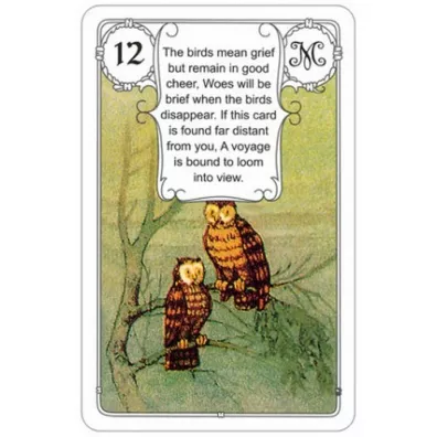 Karty Lenormand, Niebieska Sowa