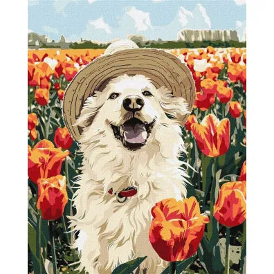 Ideyka Malowanie po numerach - Szcz�liwy labrador 40x50cm